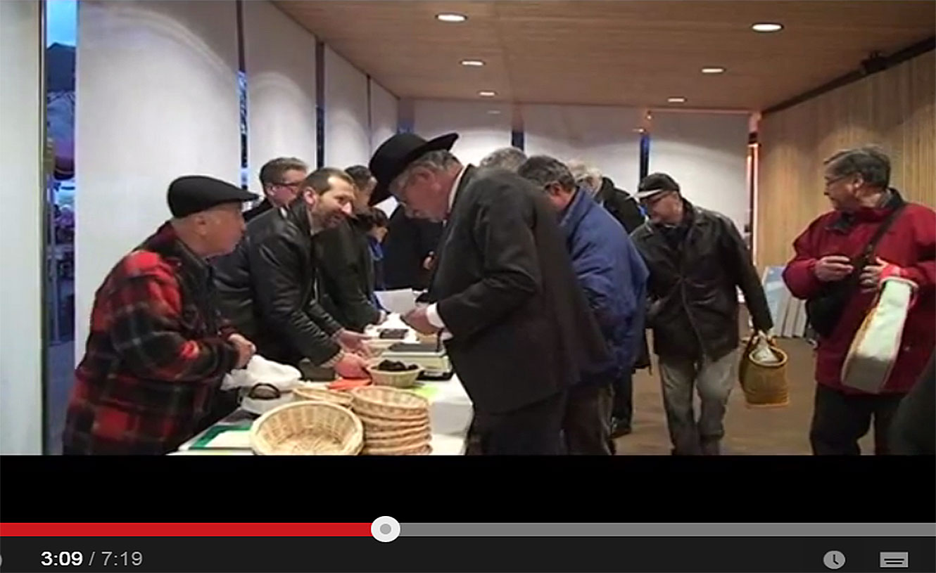 Marché controlé aux truffes de Brive la Gaillarde.