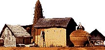 Photo : F. Périssel