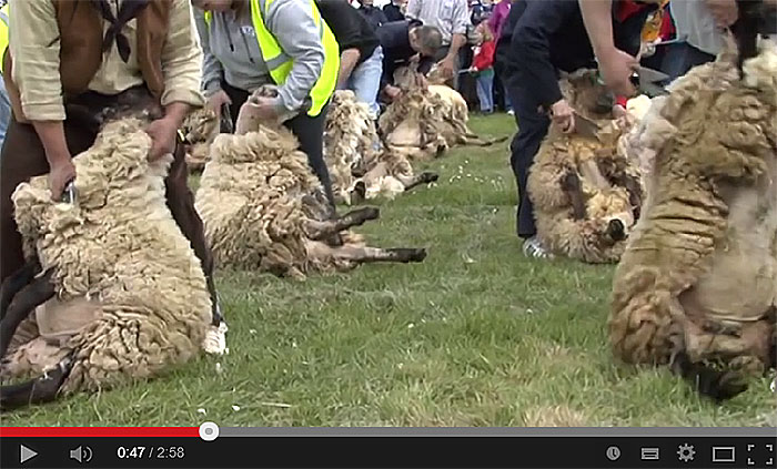 Roscommon Lamb Festival 2012