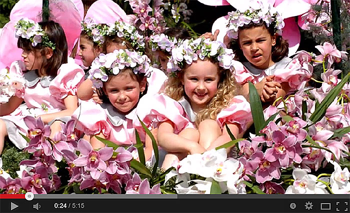 Fêtes des Fleurs à Funchal Madère