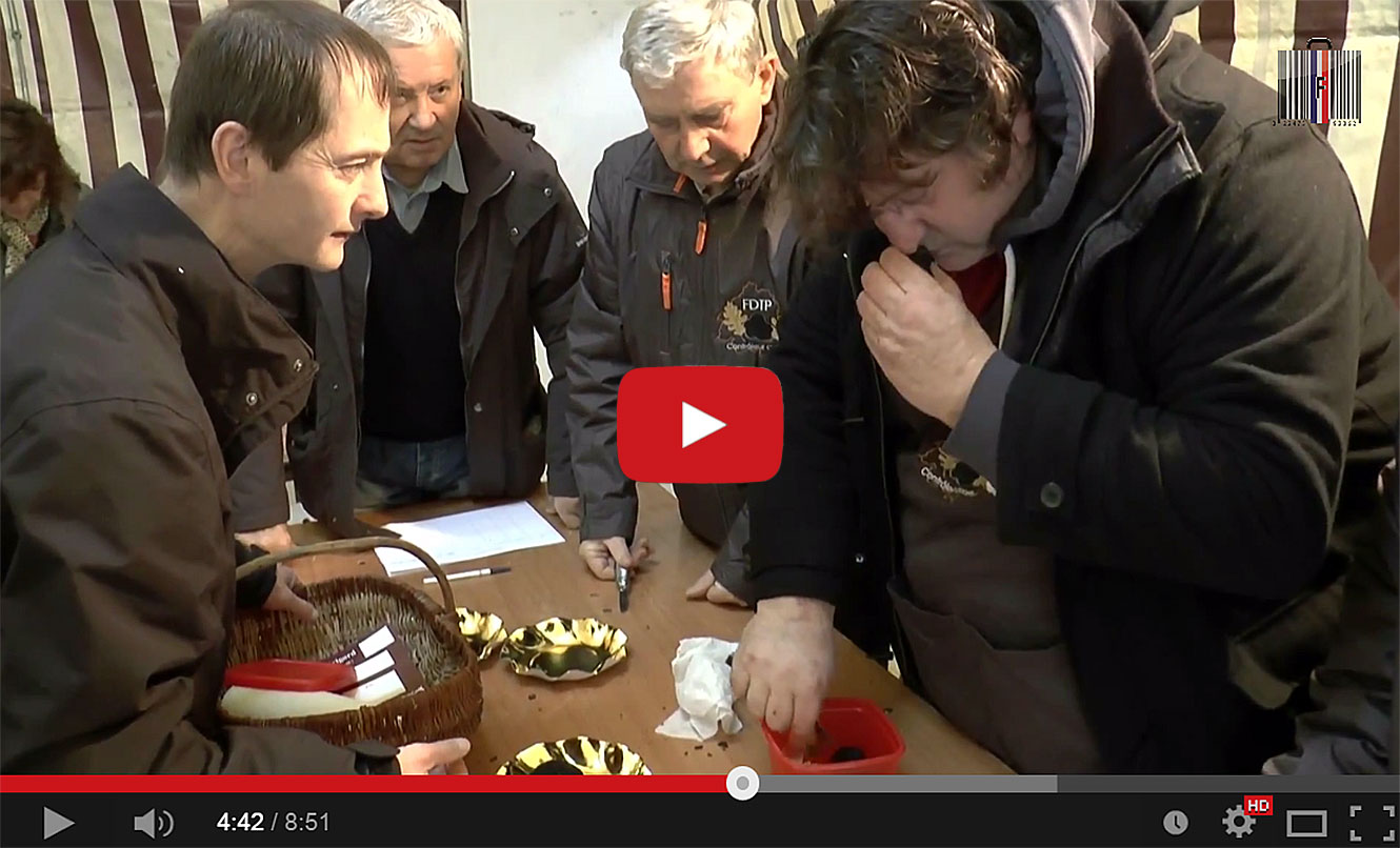 Marché aux truffes et au gras à la Fête de la Truffe de Sorges (24).