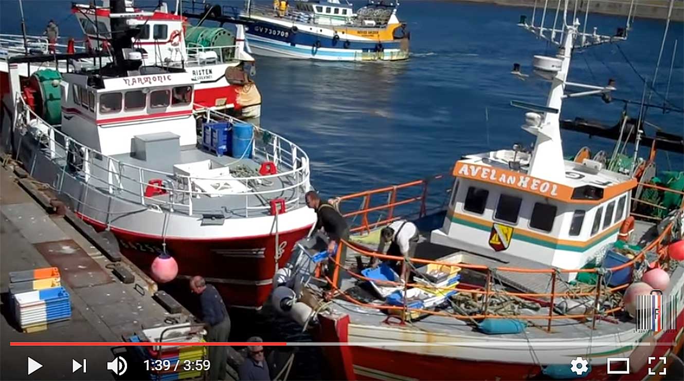 Retour de pêche, Le Guilvinec