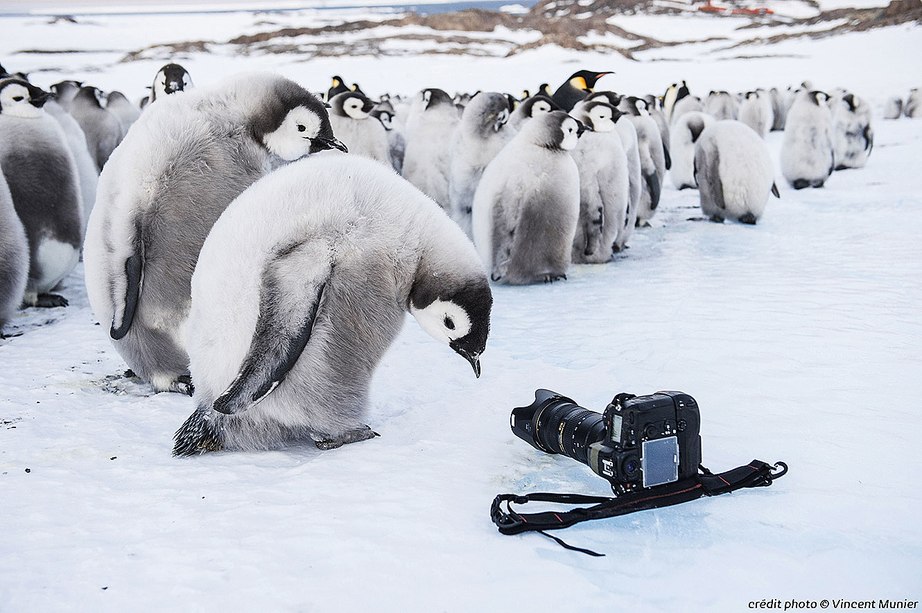 Antarctica