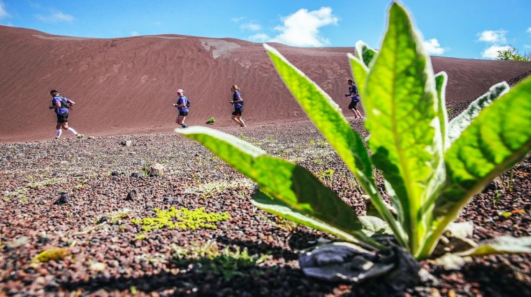 © Cyrille Quintard - VVX.