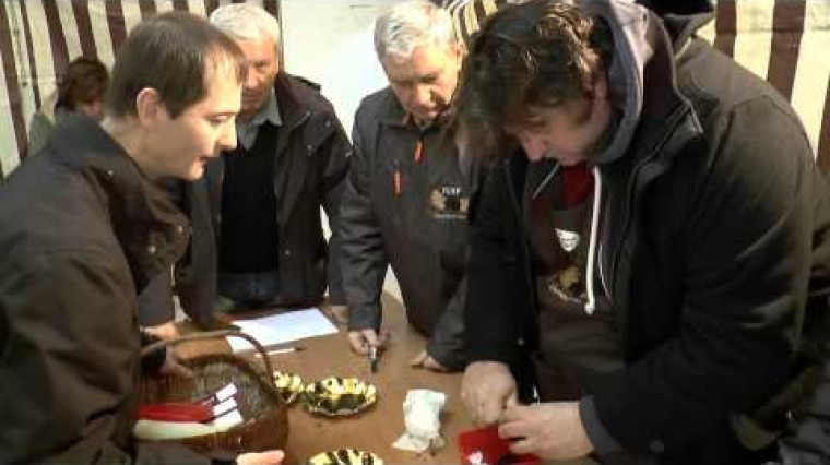 Sorges en Périgord est connue par les gastronomes du monde entier comme la capitale de la truffe noire.