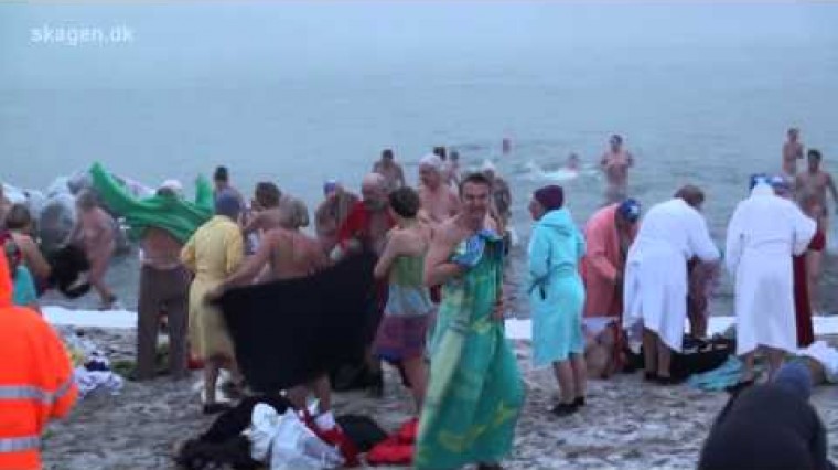 Les nageurs d'hiver, les