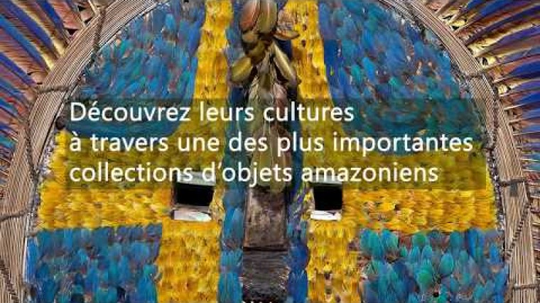 Une expérience immersive parmi les Kayapó, les Bororo, les Yanomami, les Jivaro.
