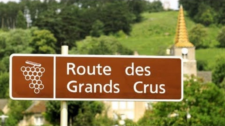 La Route des Grands Crus en vélo.