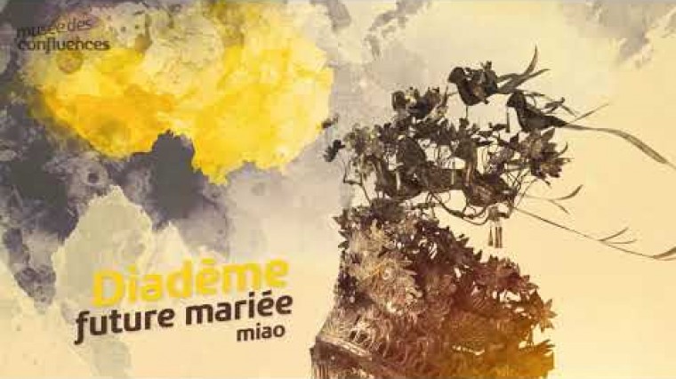 Exposition temporaire prolongée jusqu’au mois d’août au musée des Confluences à Lyon.