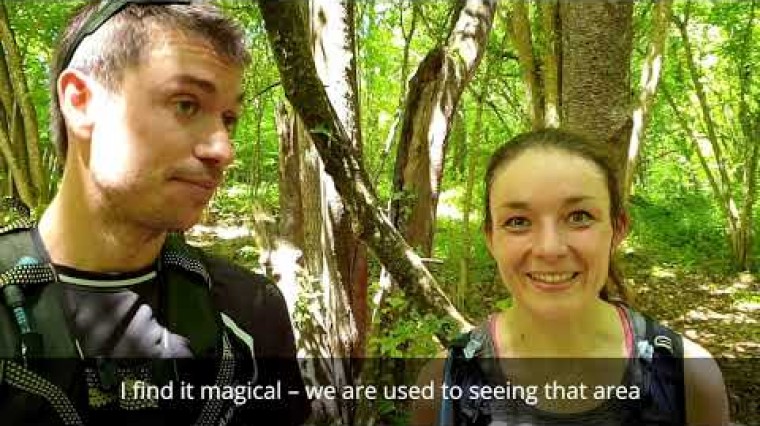 A la découverte du Parc Naturel Régional des Volcans d’Auvergne, façonné par les volcans, la pierre et l’eau.