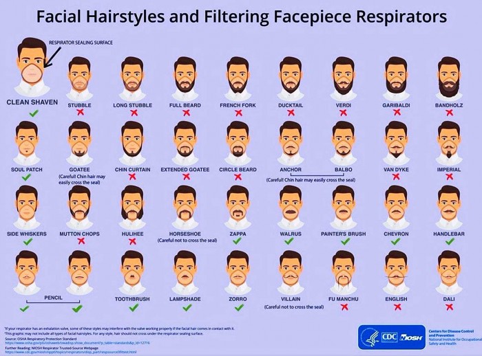 LE MASQUE ET LA BARBE