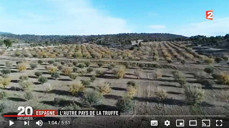L'arrivée fracassante de l'Espagne sur le marché de la truffe noire.